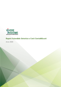 Report Aziendale Sintetico e Costi Contabilizzati al 31-12-2020 Associazione Vivere Insieme